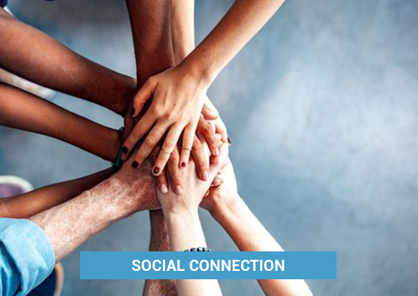 SOCIAL-CONNECTION