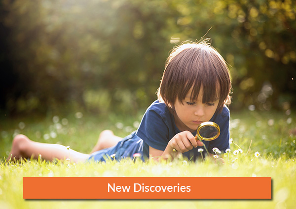 New-Discoveries